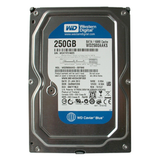Cung cấp Ổ cứng Western HDD WD Caviar Blue Sata 250GB (Xanh)  chính hãng 