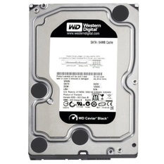  Bỏ sỉ Ổ cứng HDD  WD Caviar Black 500GB/7200 Sata3 64M (Bạc)  mới nhất 